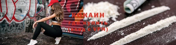 крисы Горняк