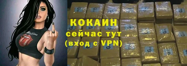 mdpv Горно-Алтайск