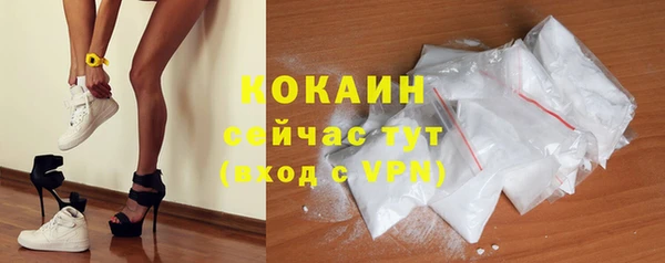крисы Горняк
