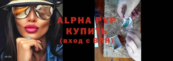 крисы Горняк
