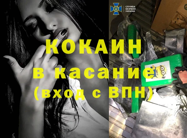 крисы Горняк