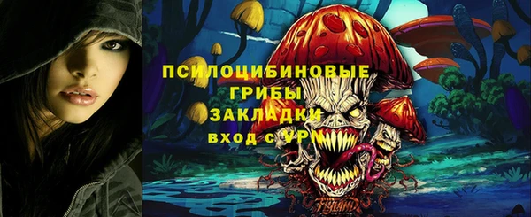 mdpv Горно-Алтайск
