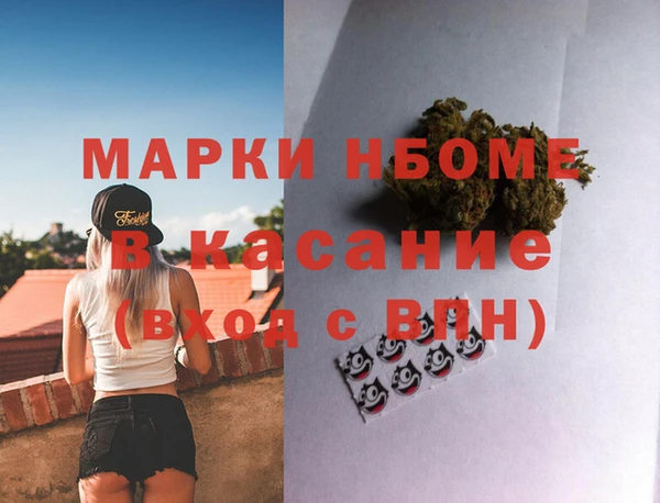 крисы Горняк