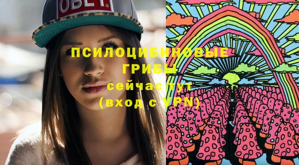 крисы Горняк