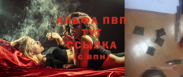 крисы Горняк